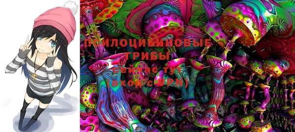 сатива Кукмор