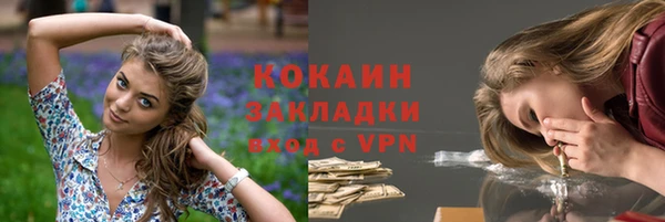 сатива Кукмор