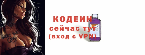 PSILOCYBIN Кулебаки