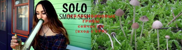 PSILOCYBIN Кулебаки