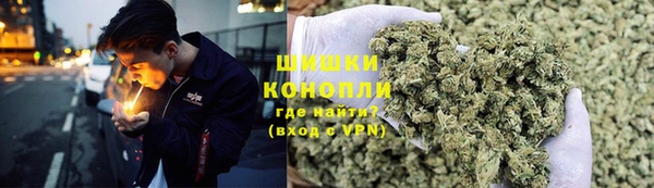 сатива Кукмор