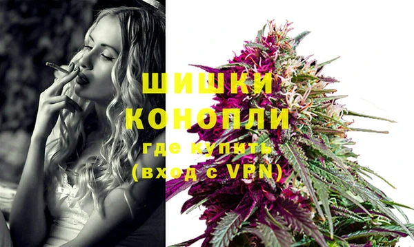 сатива Кукмор