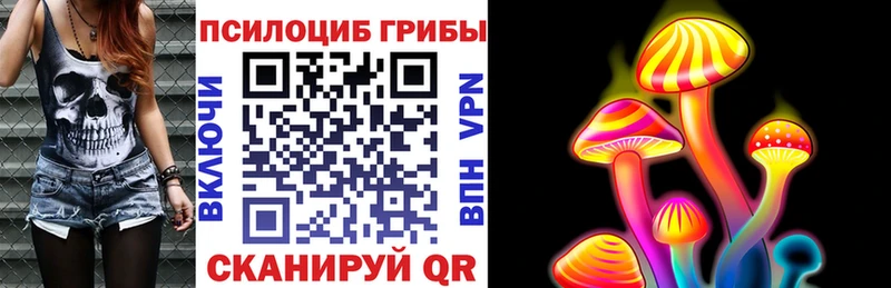 Псилоцибиновые грибы GOLDEN TEACHER  купить  цена  Сольцы 