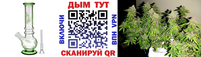 Шишки марихуана план Сольцы